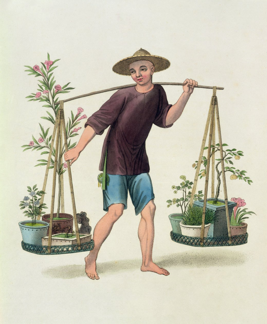 Un Portador con Árboles Frutales y Flores, lámina 16 de 