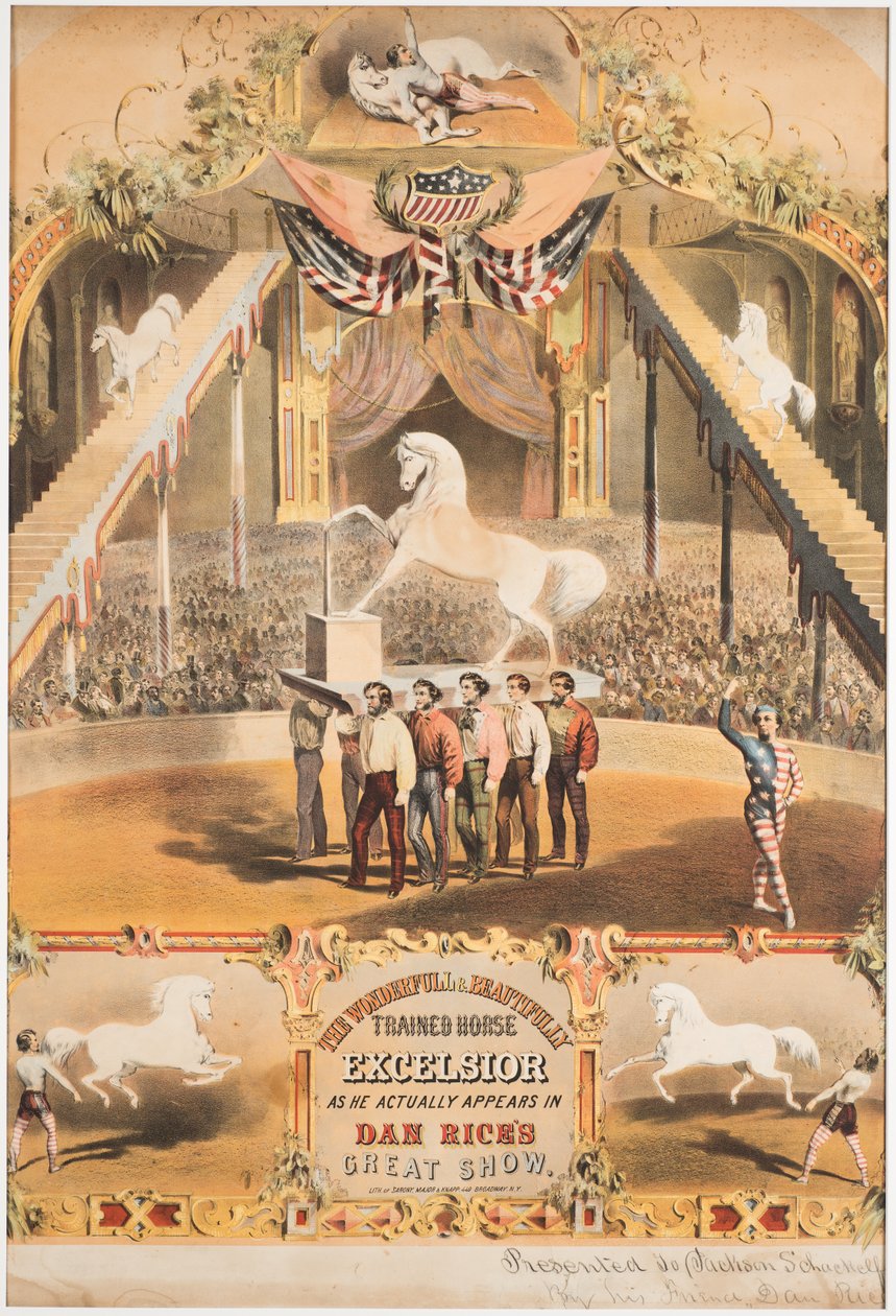El maravilloso y bellamente entrenado caballo Excelsior, c.1840 de Major and Knapp Sarony