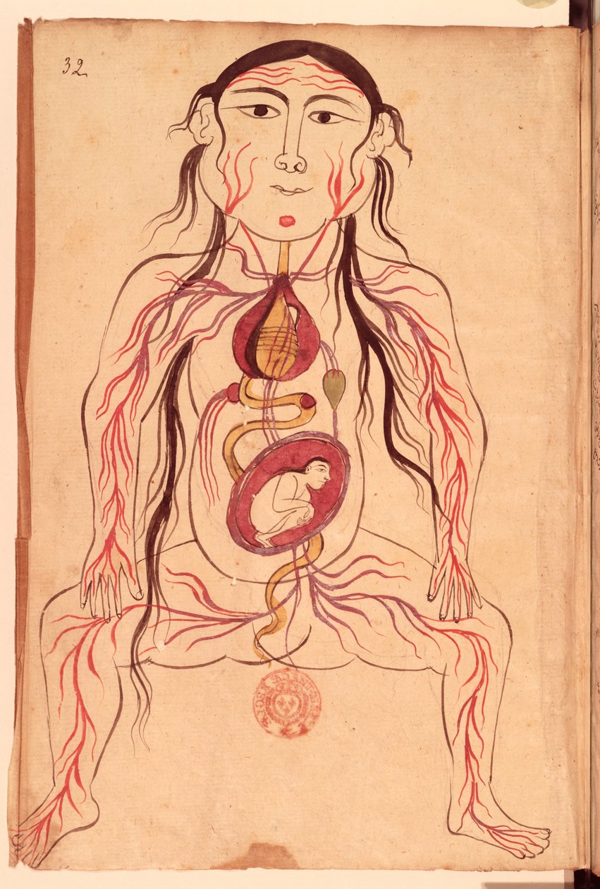 Ms Persan 151 Fol.32 Diagrama anatómico de una mujer y su feto de Mansour b. Eliyas Chirazi