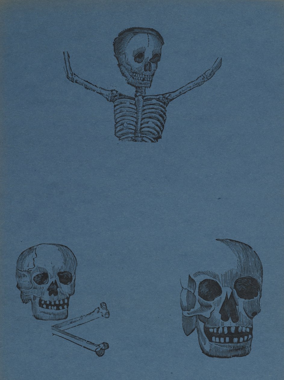 Estudios de cráneos y esqueletos, de 330 Grabados Originales, impreso por Antonio Vanegas Arroyo (1850-1917), Ciudad de México, México de Manuel Manilla