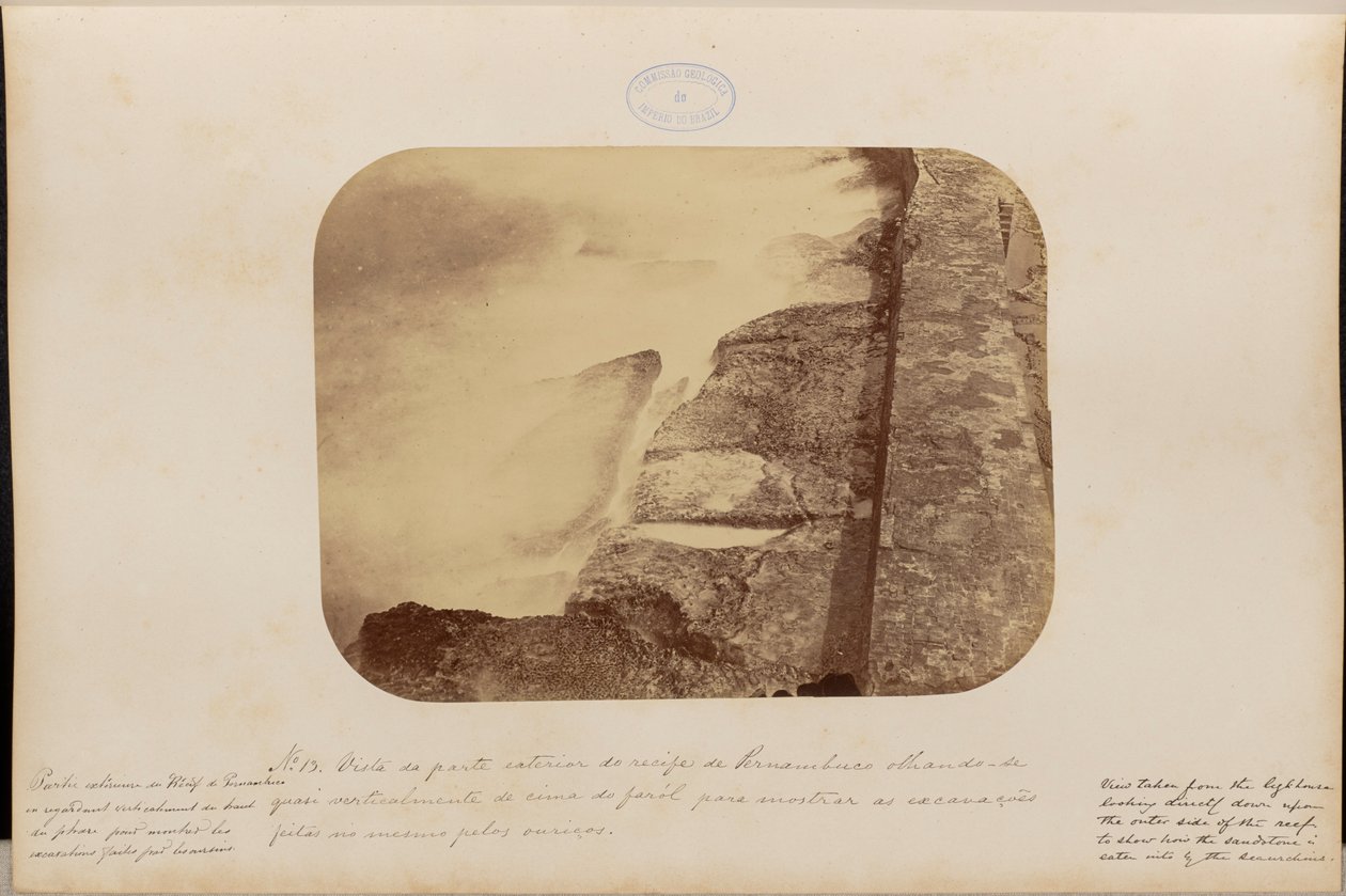 Vista de la parte exterior del arrecife de Pernambuco mirando casi verticalmente desde lo alto del faro para mostrar las excavaciones realizadas en la misma roca de erizo. de Marc Ferrez