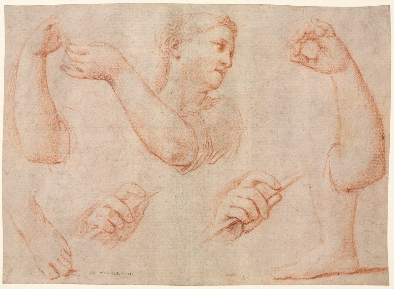 Estudio de una mujer joven que toca una pandereta y estudios de un brazo, manos y pies (estudios para "Miriam al frente del coro de mujeres que dan gracias por la derrota del faraón" de Marcantonio Franceschini