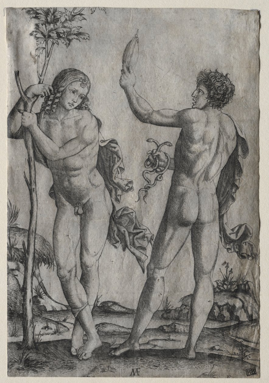 Dos hombres desnudos junto a un árbol de Marcantonio Raimondi