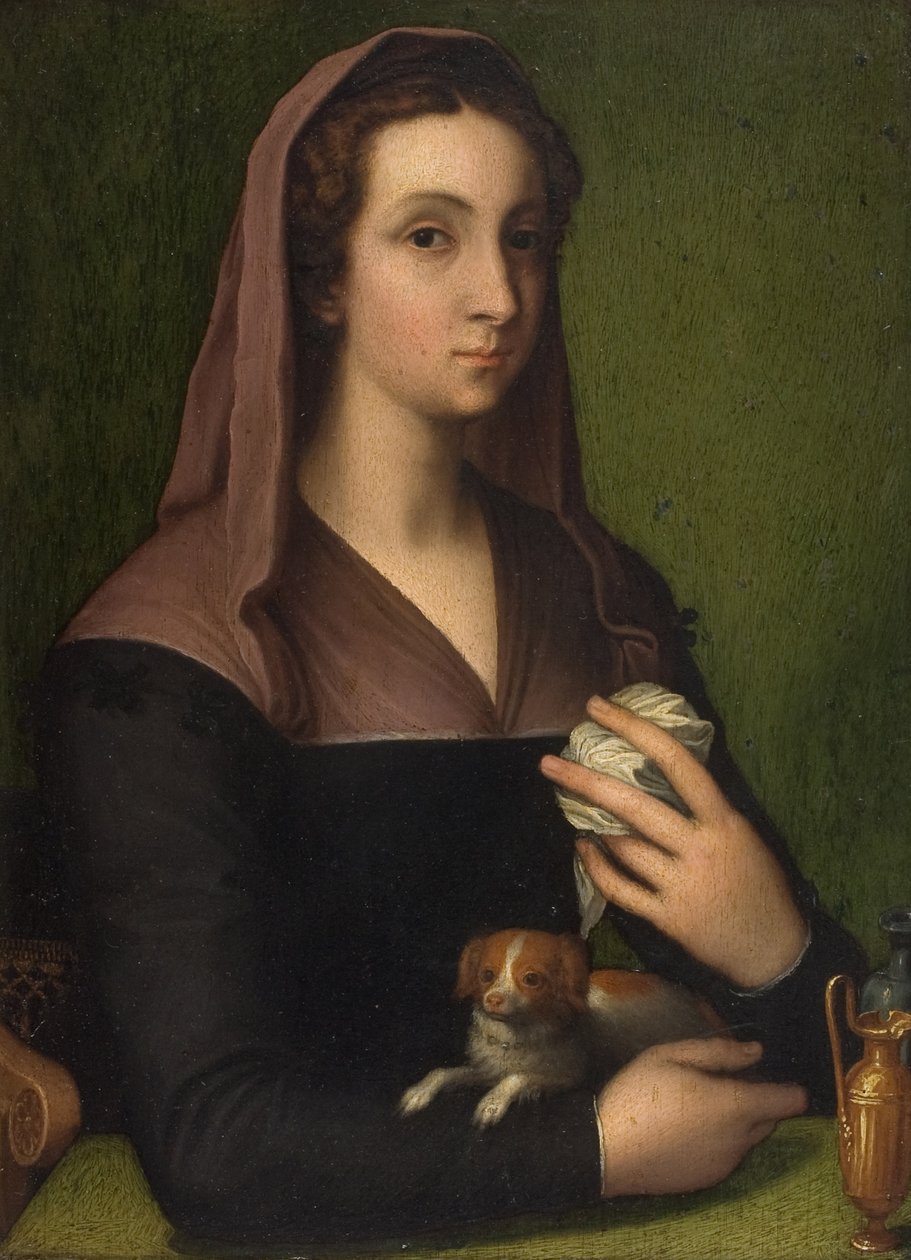Retrato de una dama (óleo sobre tabla) de Marcello (follower of) Venusti