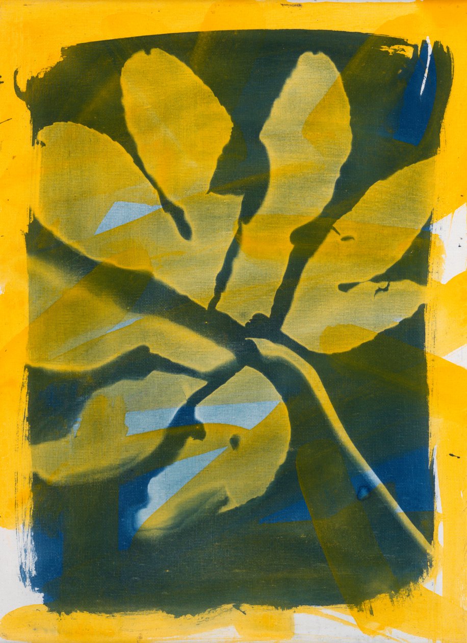 Anatomía de una hoja, 2023 (técnica mixta) de Marco Campedelli