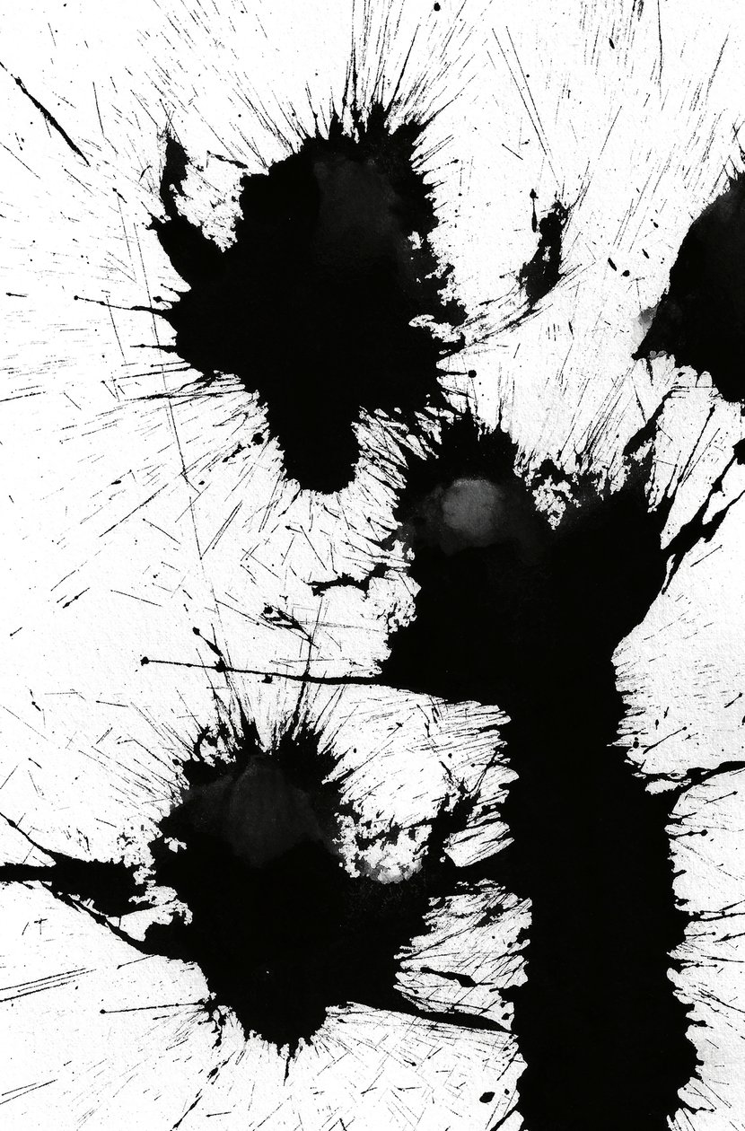 Blot, 2014 (tinta sobre papel) de Marco Campedelli