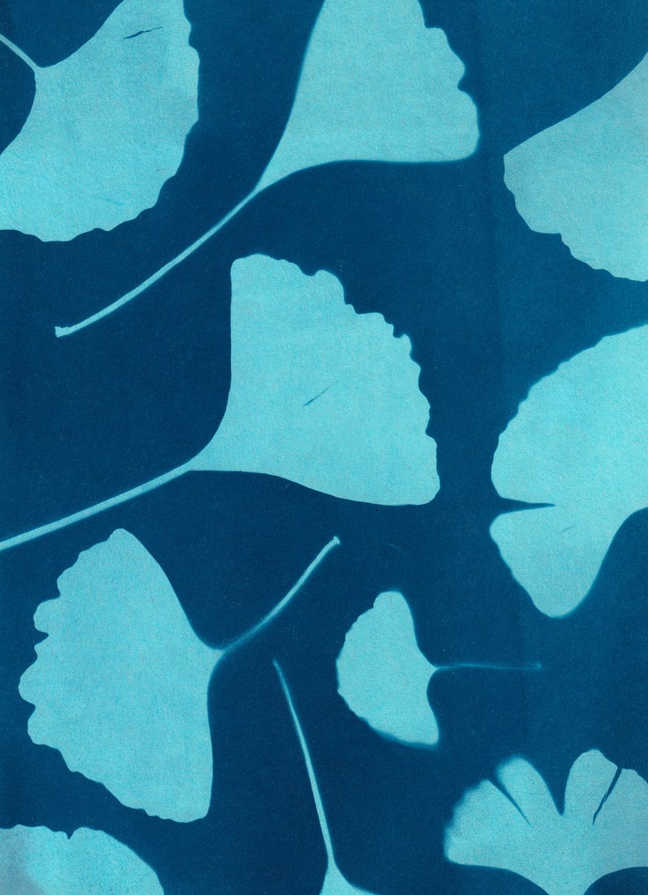 Ginkgo biloba 146, 2023 (cianotipia, técnica mixta) de Marco Campedelli
