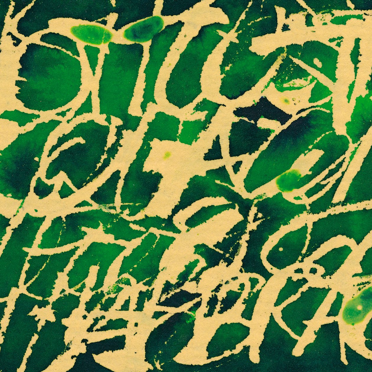 Escritura verde, 2002 (técnica mixta) de Marco Campedelli