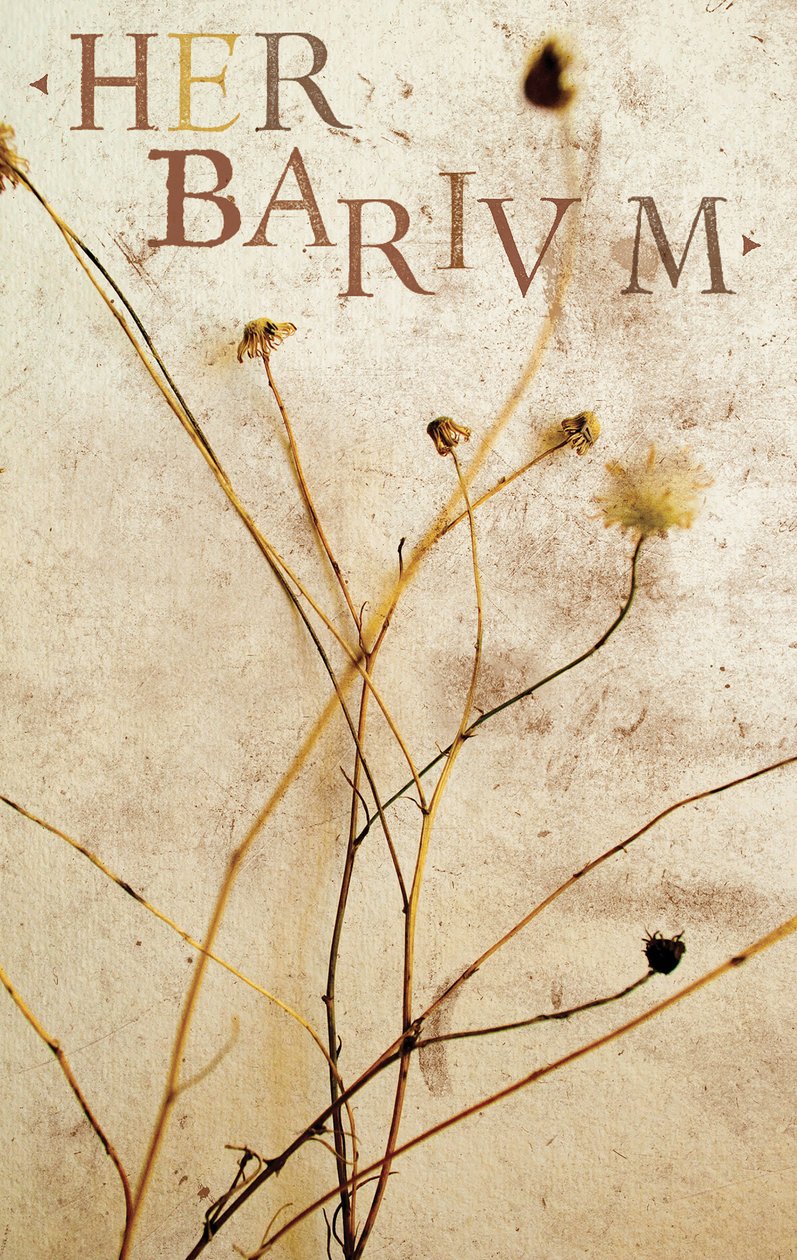 Herbario, 2014 (técnica mixta) de Marco Campedelli
