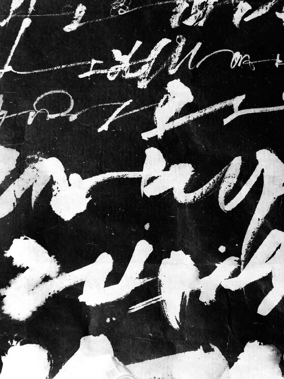 Wabi Sabi (detalle), 2018 (tinta sobre papel) de Marco Campedelli