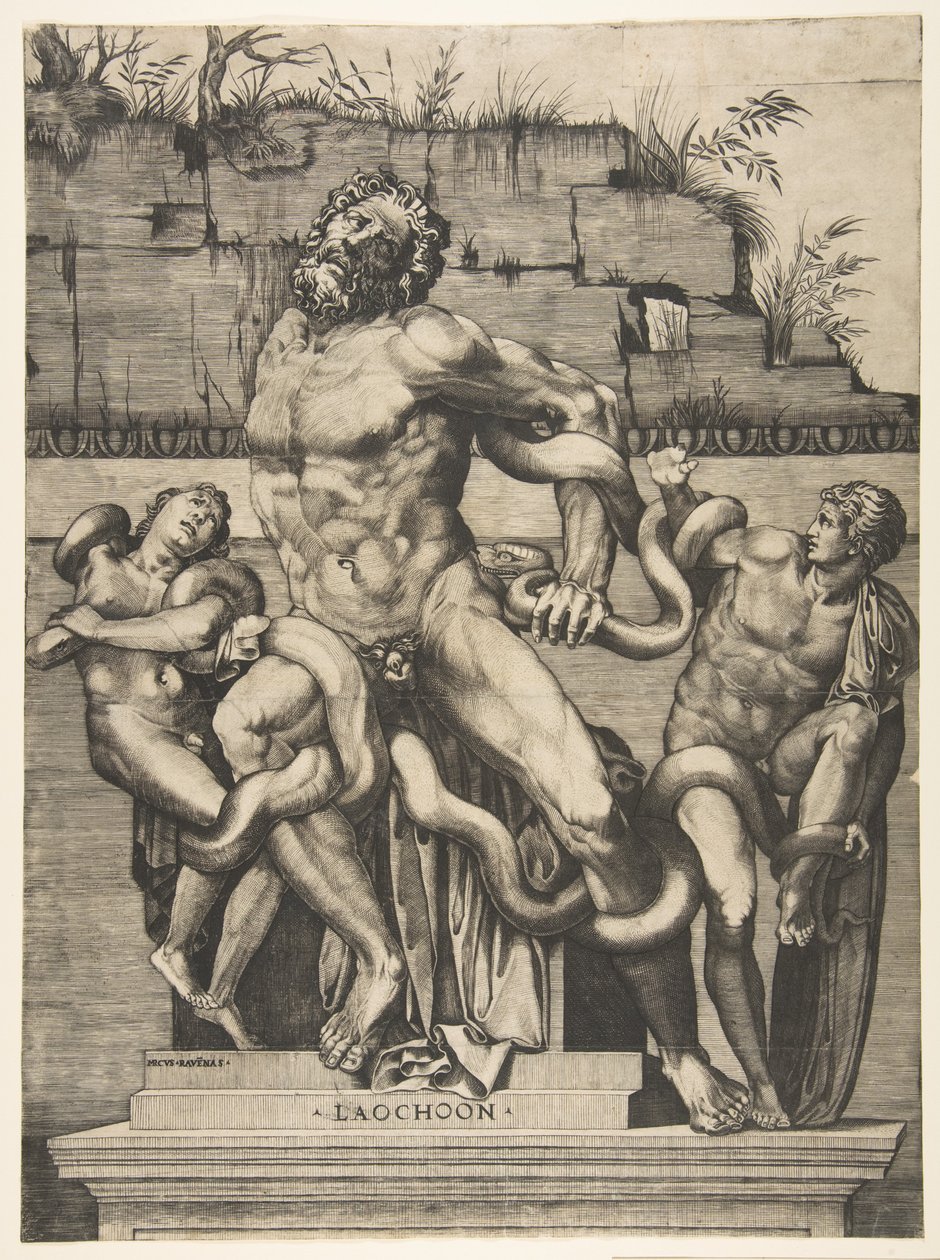 Laocoonte y sus hijos siendo atacados por serpientes de Marco Dente