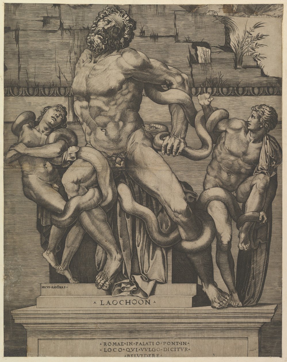 Speculum Romanae Magnificentiae: Laocoonte, siglo XVI de Marco Dente