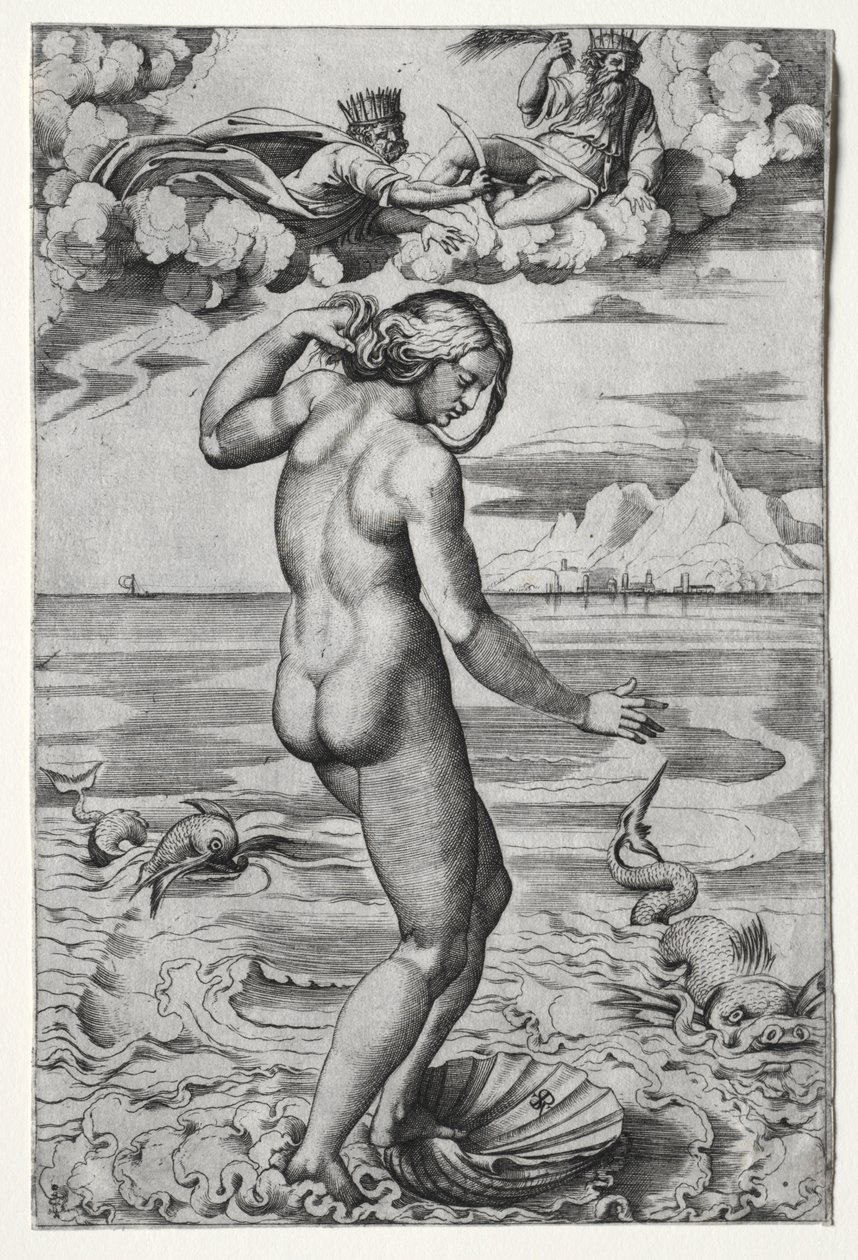 El nacimiento de Venus de Marco Dente