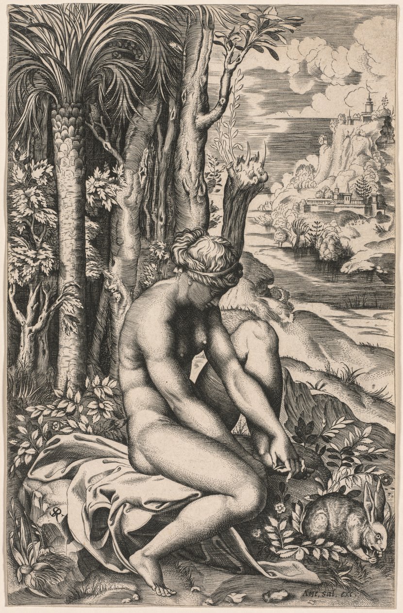 Venus herida por una espina de rosa, c. 1516 de Marco Dente