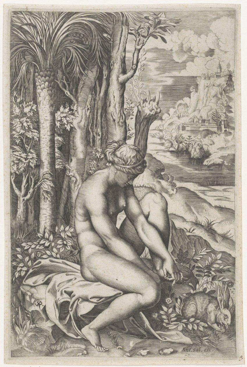 Venus herida por la espina de una rosa de Marco Dente