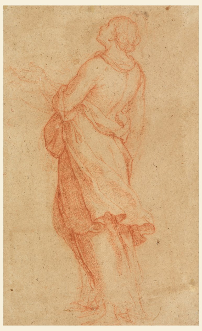 Dibujo, Una joven (Santa María Magdalena bajo la cruz), 1550-75 de Marco Pino