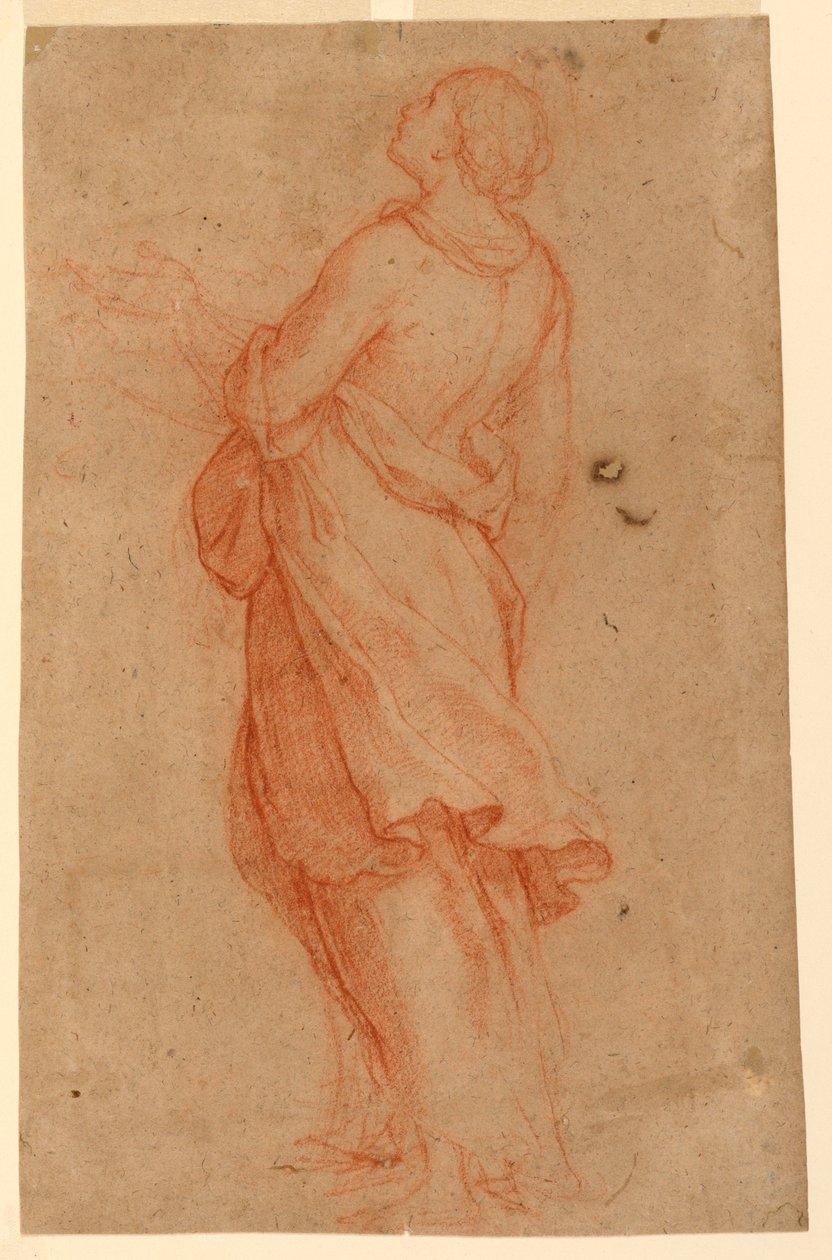 Dibujo, Una joven (Santa María Magdalena bajo la cruz), 1550-75 de Marco Pino