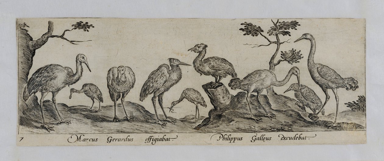 Grabado de un maestro antiguo de Marcus Gheeraerts