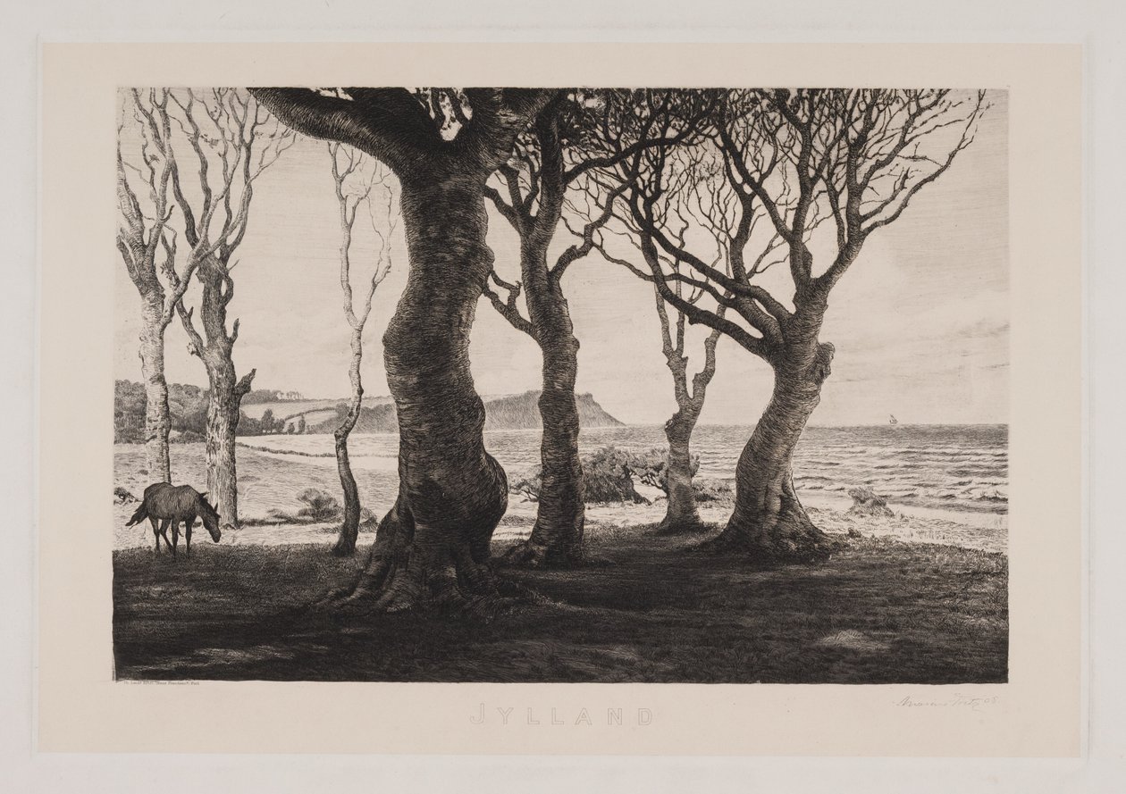 Paisaje de Jutlandia de Marcus Bech Fritz