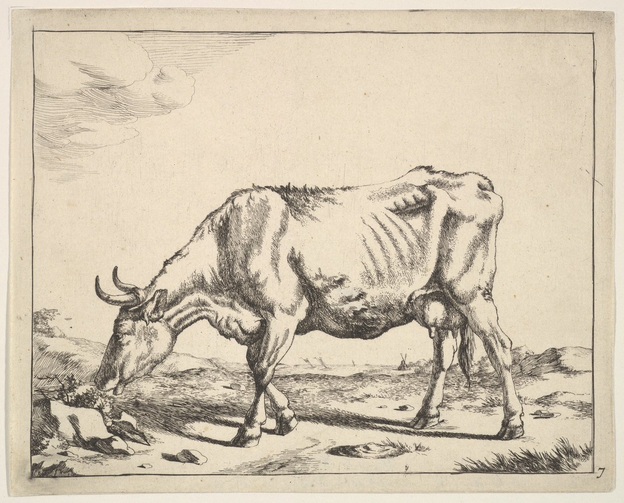 Vaca, después de Paulus Potter de Marcus de Bye