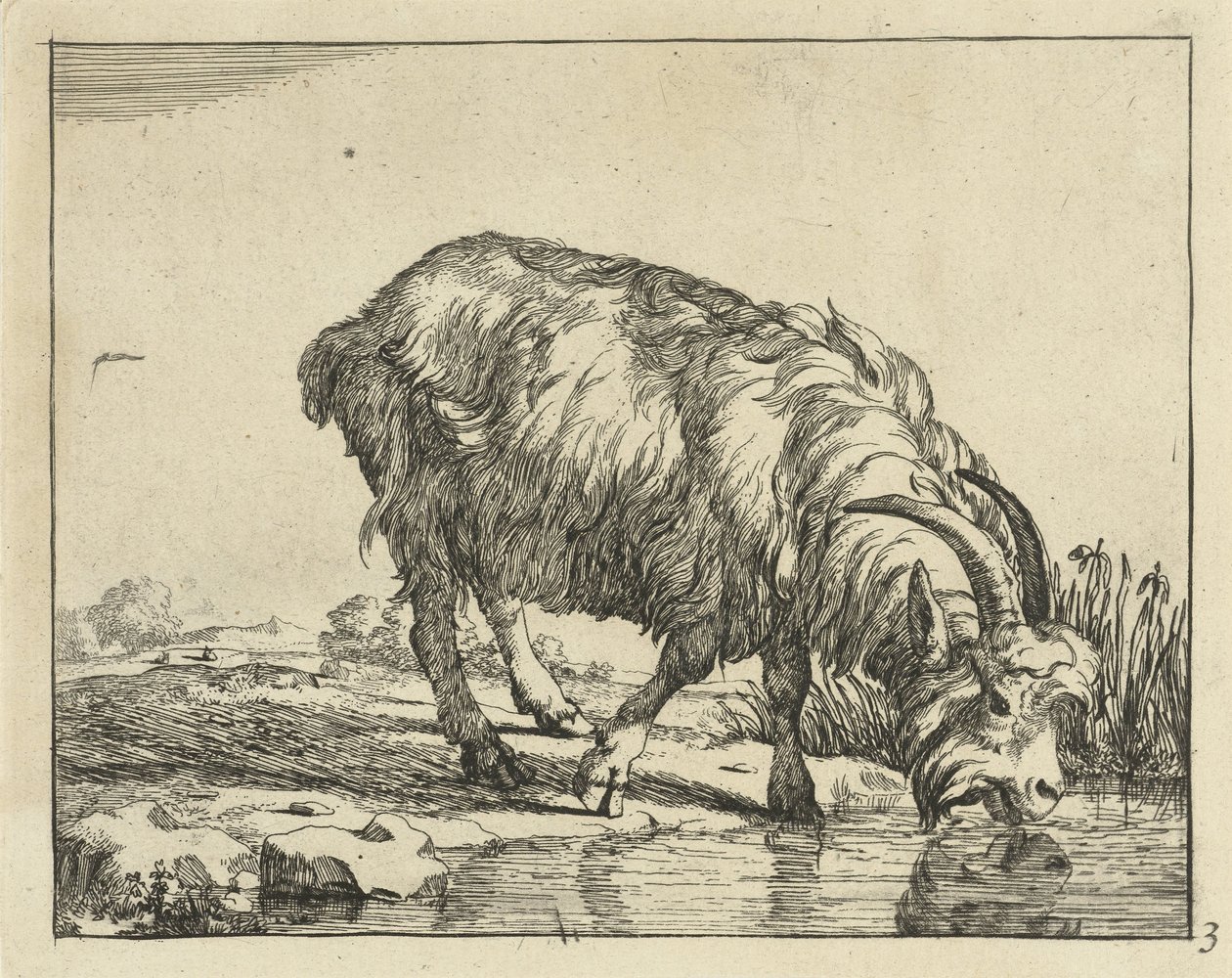 bebiendo cabra Cabras y dólares (título de la serie) de Marcus de Bye