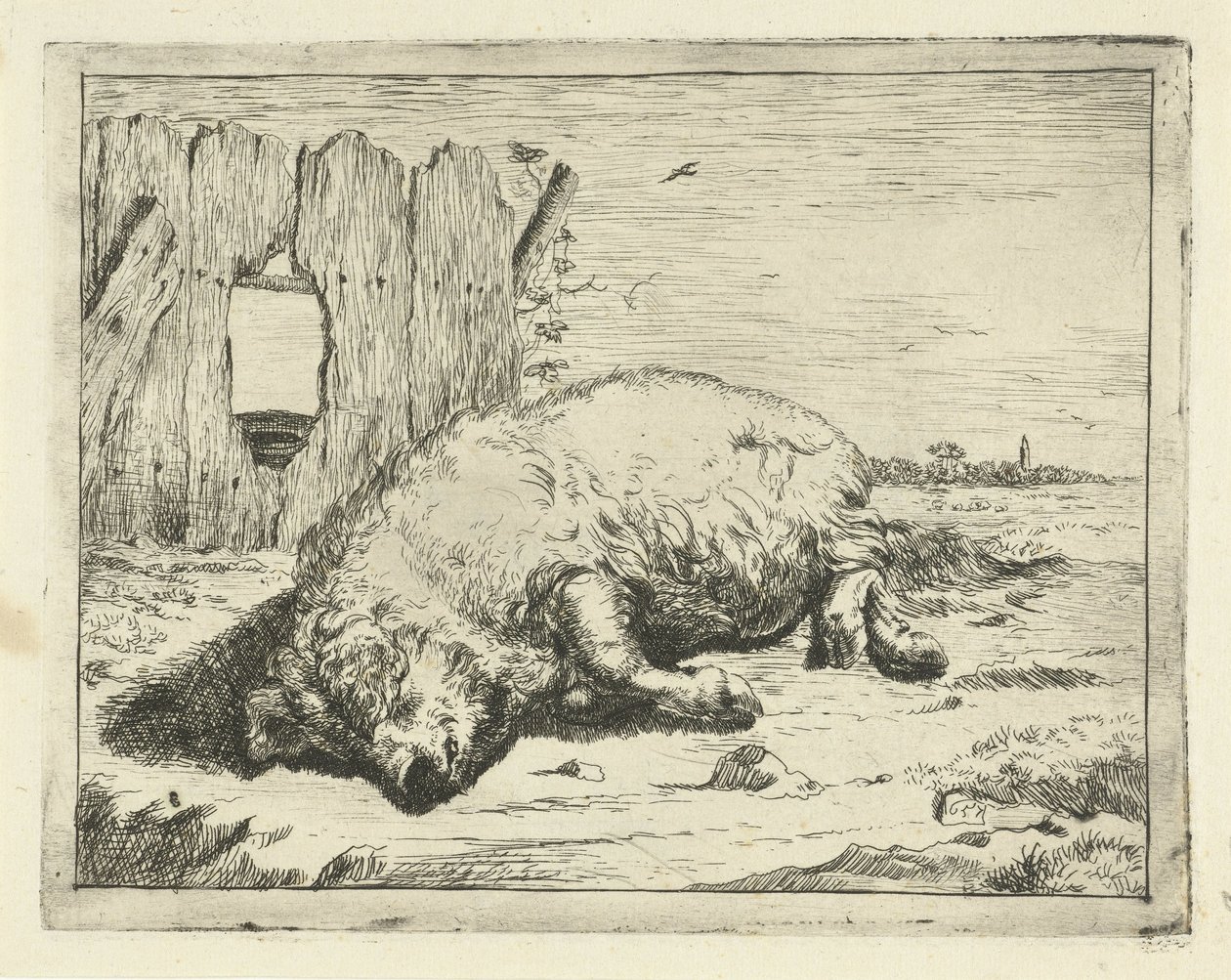 cerdo mentiroso Bovinos y porcinos (título de la serie) de Marcus de Bye