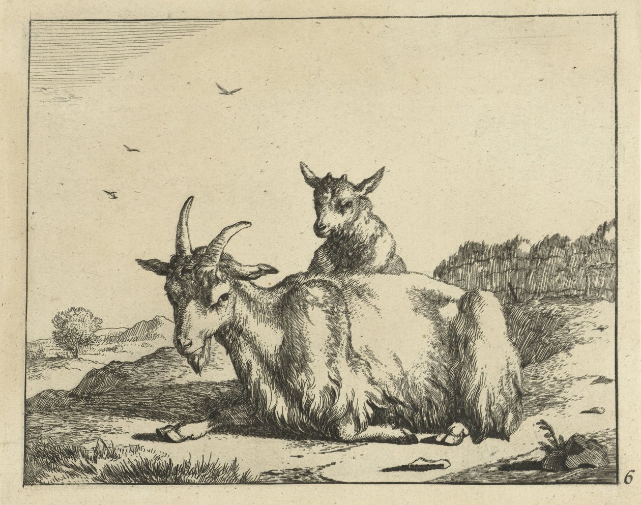 Chivo tumbado con cordero Cabras y dólares (título de la serie) de Marcus de Bye