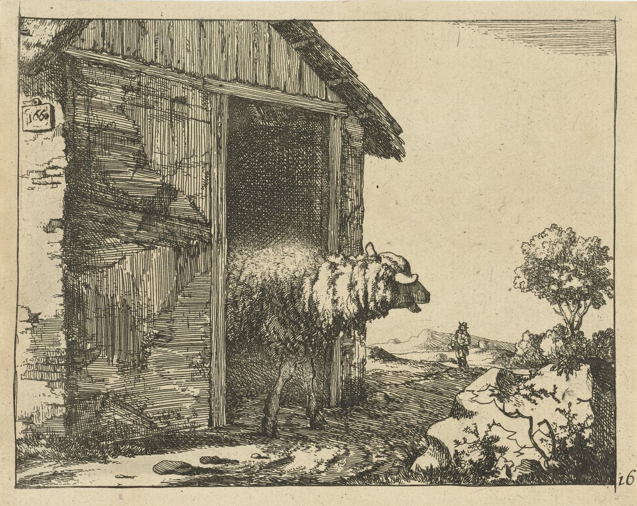 Ovejas en redil Ovejas (título de la serie) de Marcus de Bye
