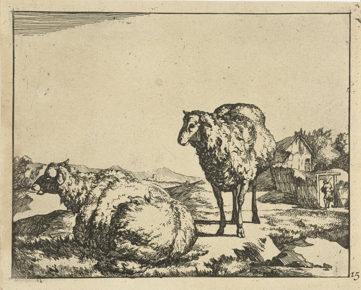 Ovejas de pie y acostadas con granja en segundo plano. Ovejas (título de la serie) de Marcus de Bye