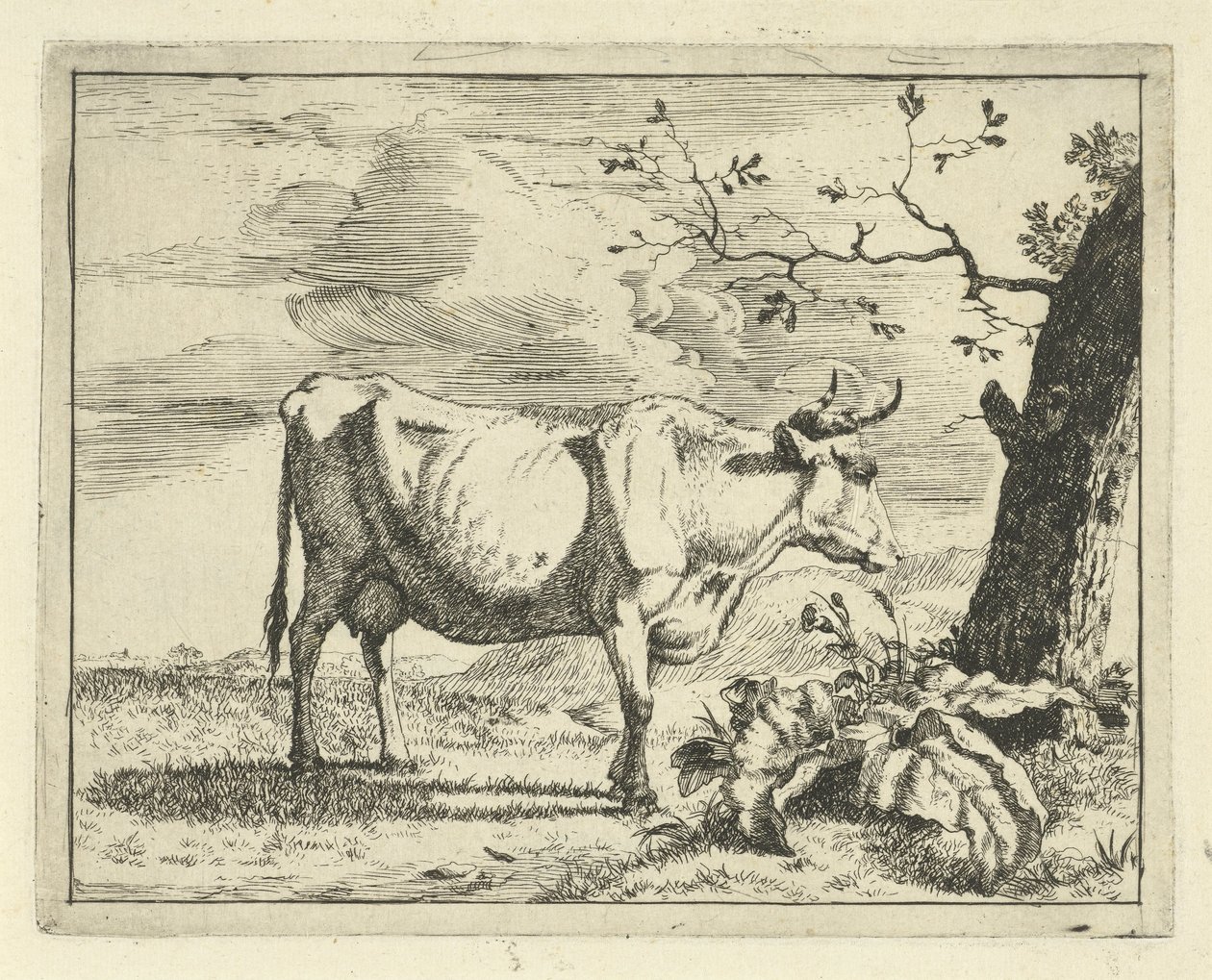 Vaca de pie por árbol Bovinos y porcinos (título de la serie) de Marcus de Bye