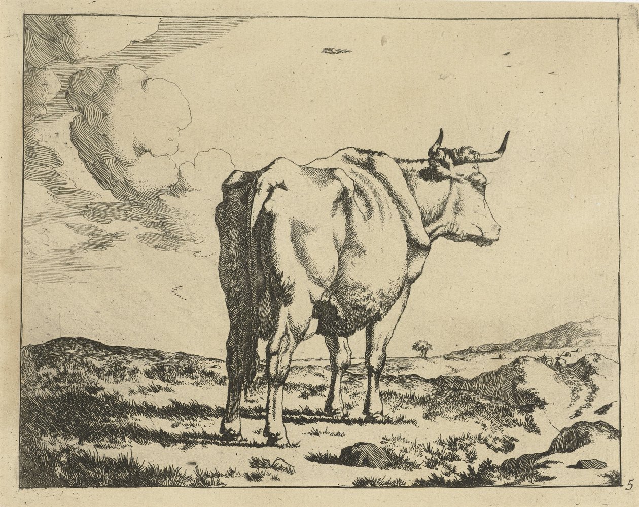 Vaca de pie, vista desde atrás Ganado (título de la serie) de Marcus de Bye