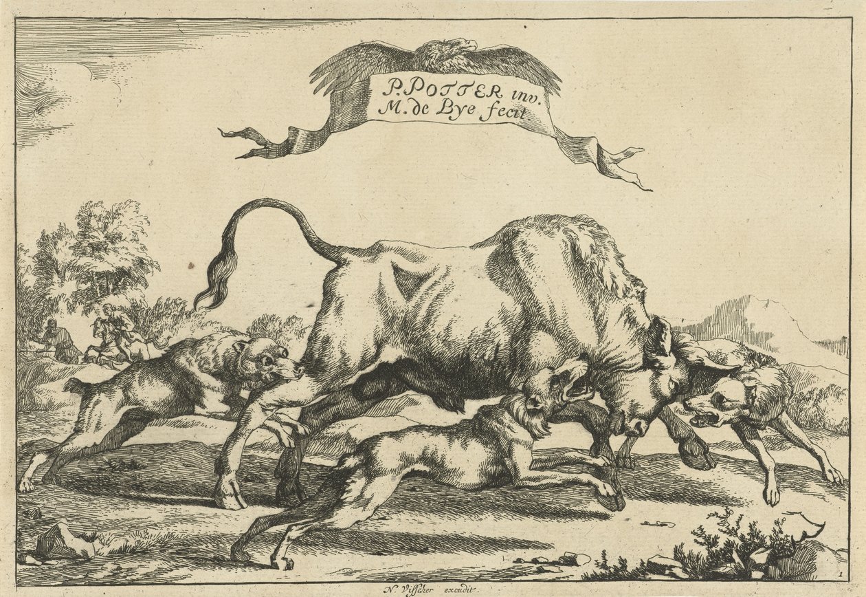 Toro atacado por tres perros de caza Perros de caza (título de la serie) de Marcus de Bye