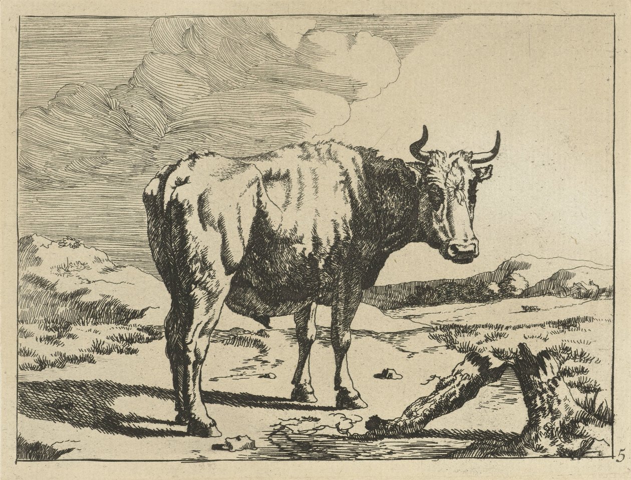 toro, posición, por, tocón de árbol Vacas y ovejas (título de la serie) de Marcus de Bye