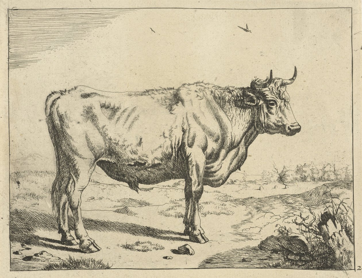 Toro, de pie a la derecha, con pájaros Ganado (título de la serie) de Marcus de Bye