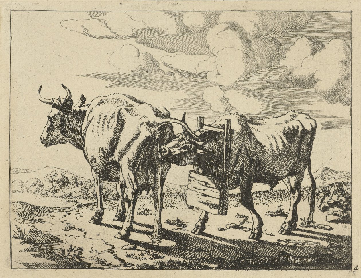 Dos vacas de pie
Vacas y ovejas (título de la serie) de Marcus de Bye