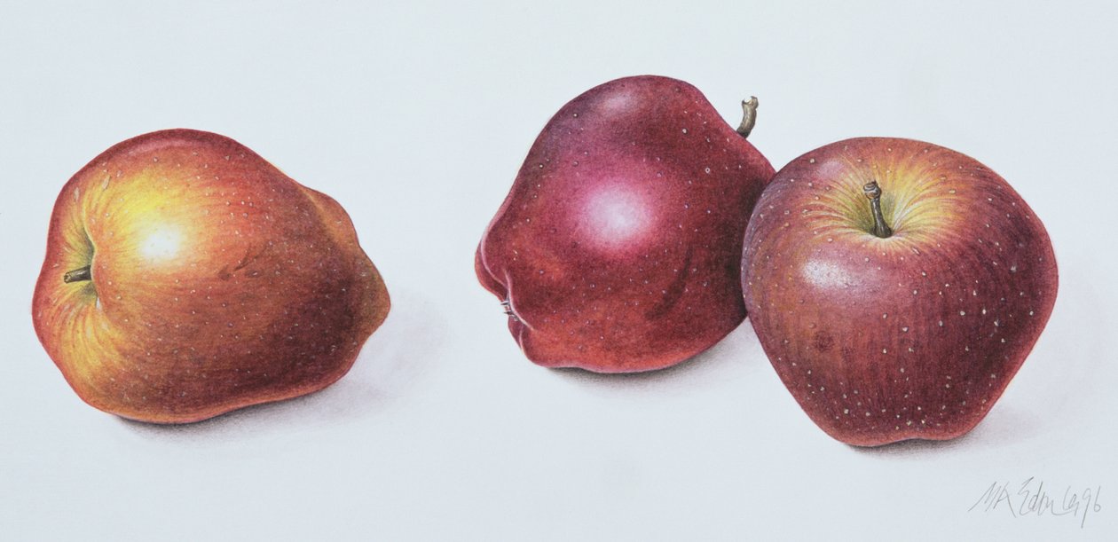 Manzanas rojas, 1996 de Margaret Ann Eden