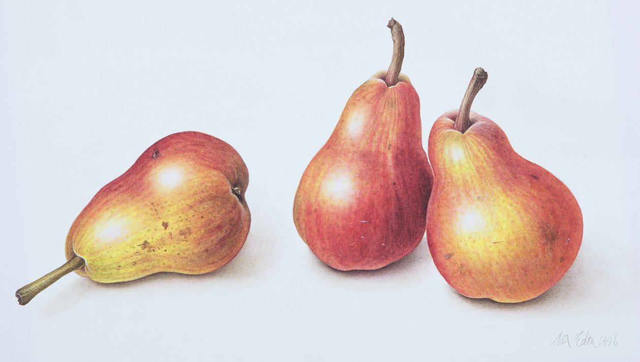 Peras rojas, 1996 de Margaret Ann Eden