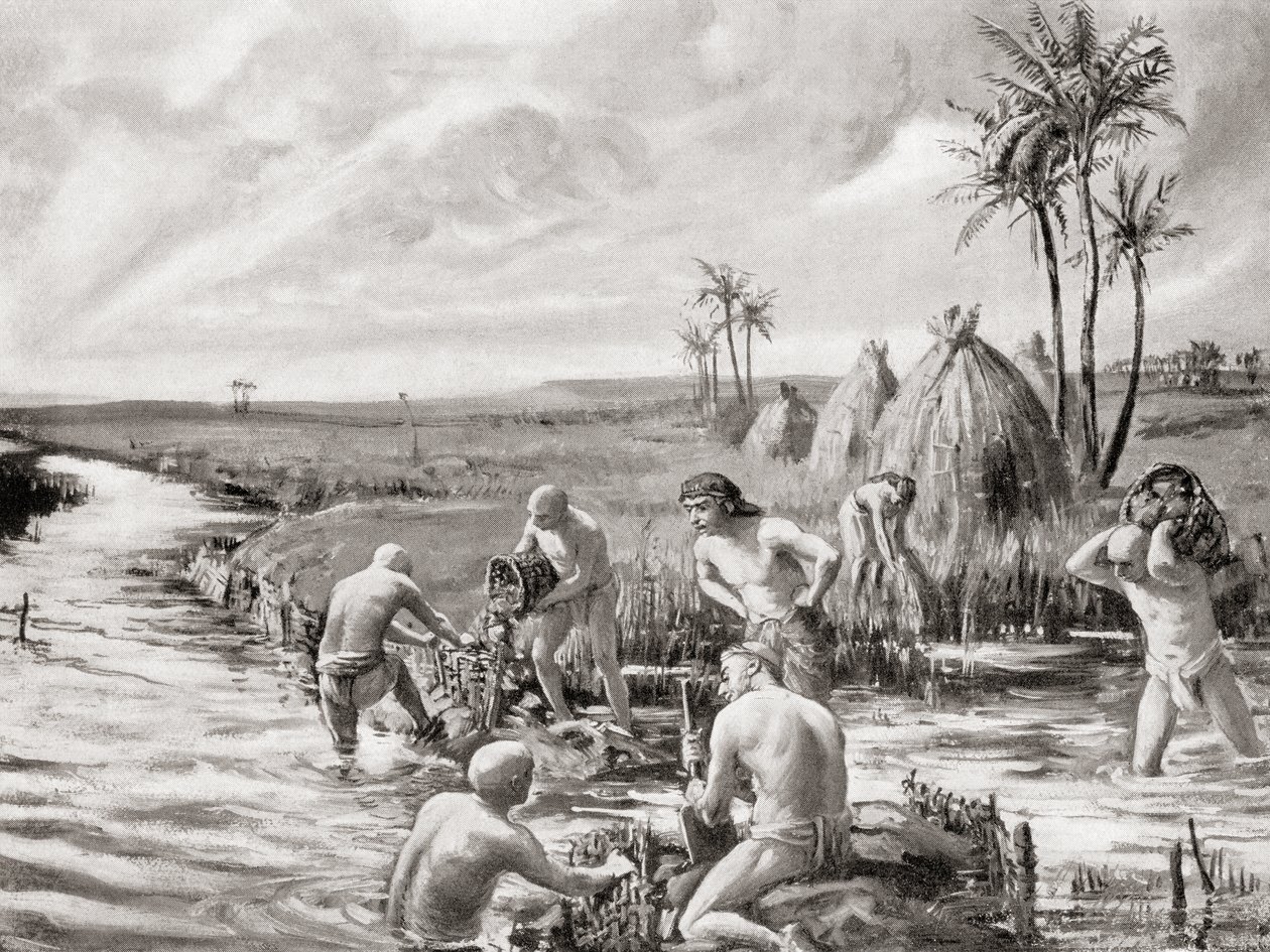 Primeros colonos en Babilonia drenando los pantanos mediante la construcción de una presa, de la Historia de las Naciones de Hutchinson, pub.1915 de Margaret (after) Dovaston