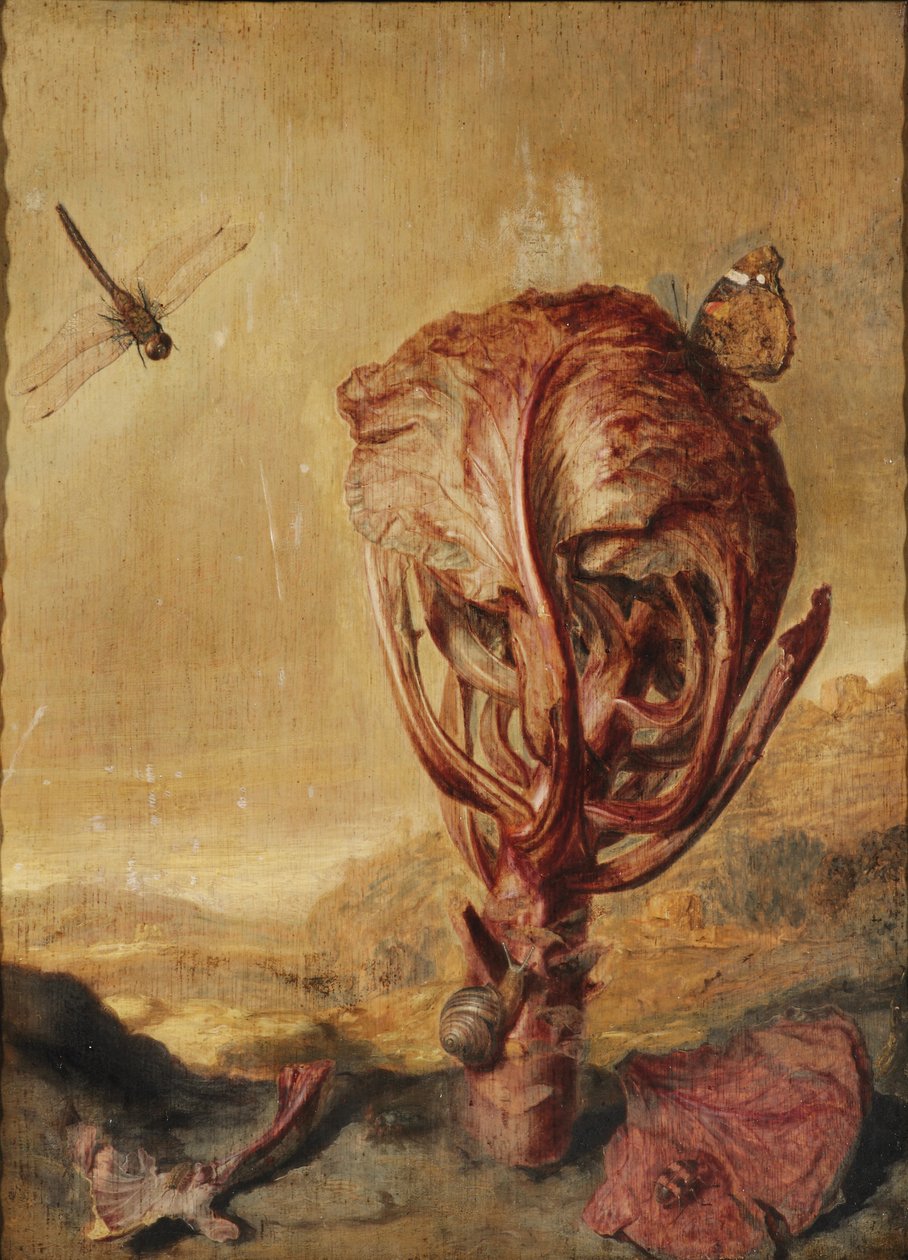 Un repollo rojo, un caracol, una mariposa, una libélula, una abeja y una cochinilla en un paisaje de Margarethe de Heer