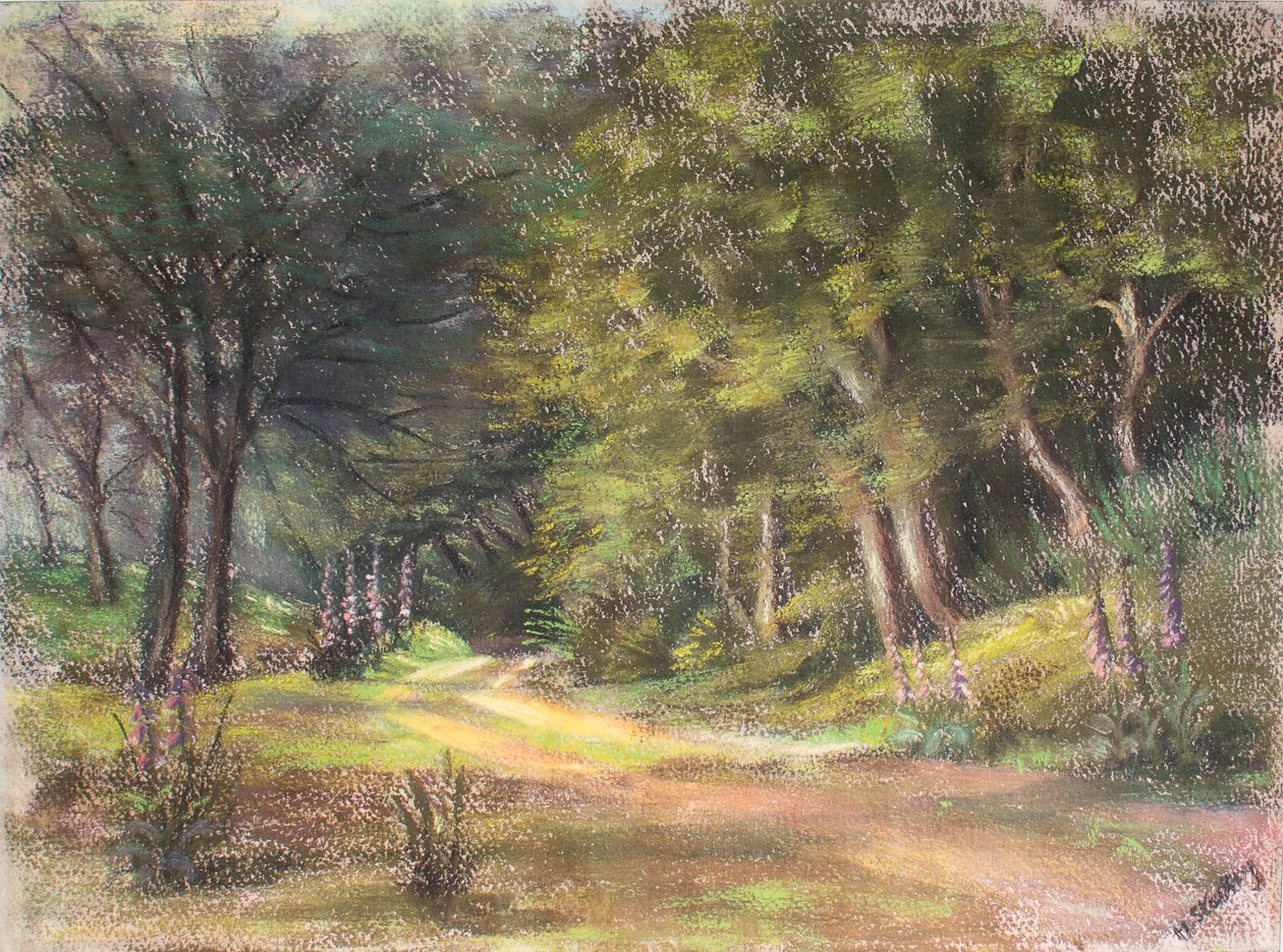 Paseo en el bosque, Somerset, 1995 de Margo Starkey