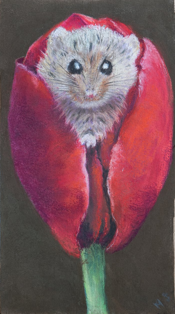 Ratón de puerta en tulipán, 2022 (pastel) de Margo Starkey