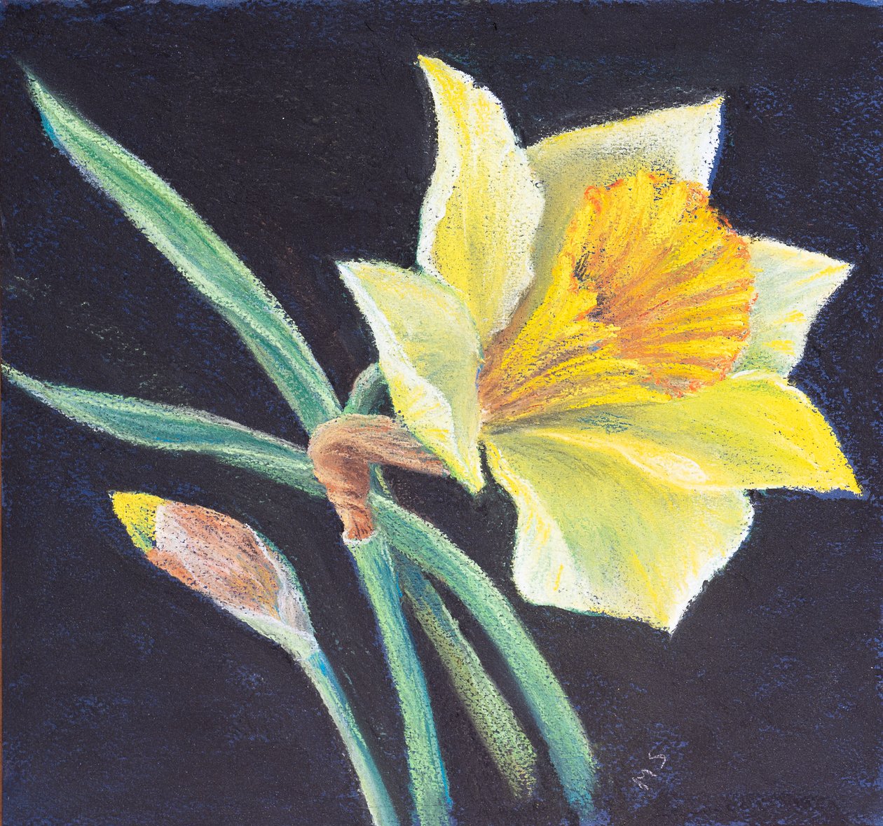 La belleza de un narciso, 2021 de Margo Starkey