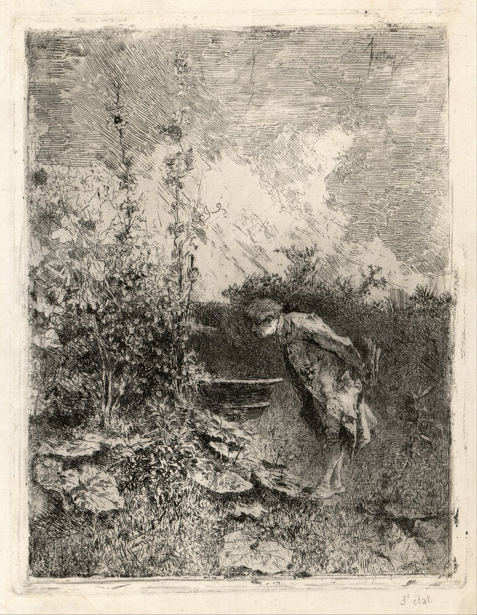 El botánico de Marià Fortuny Marsal