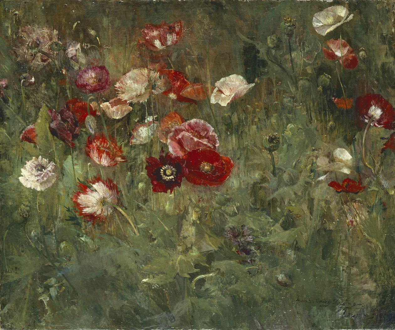 Un lecho de amapolas, 1909 de Maria Oakey Dewing