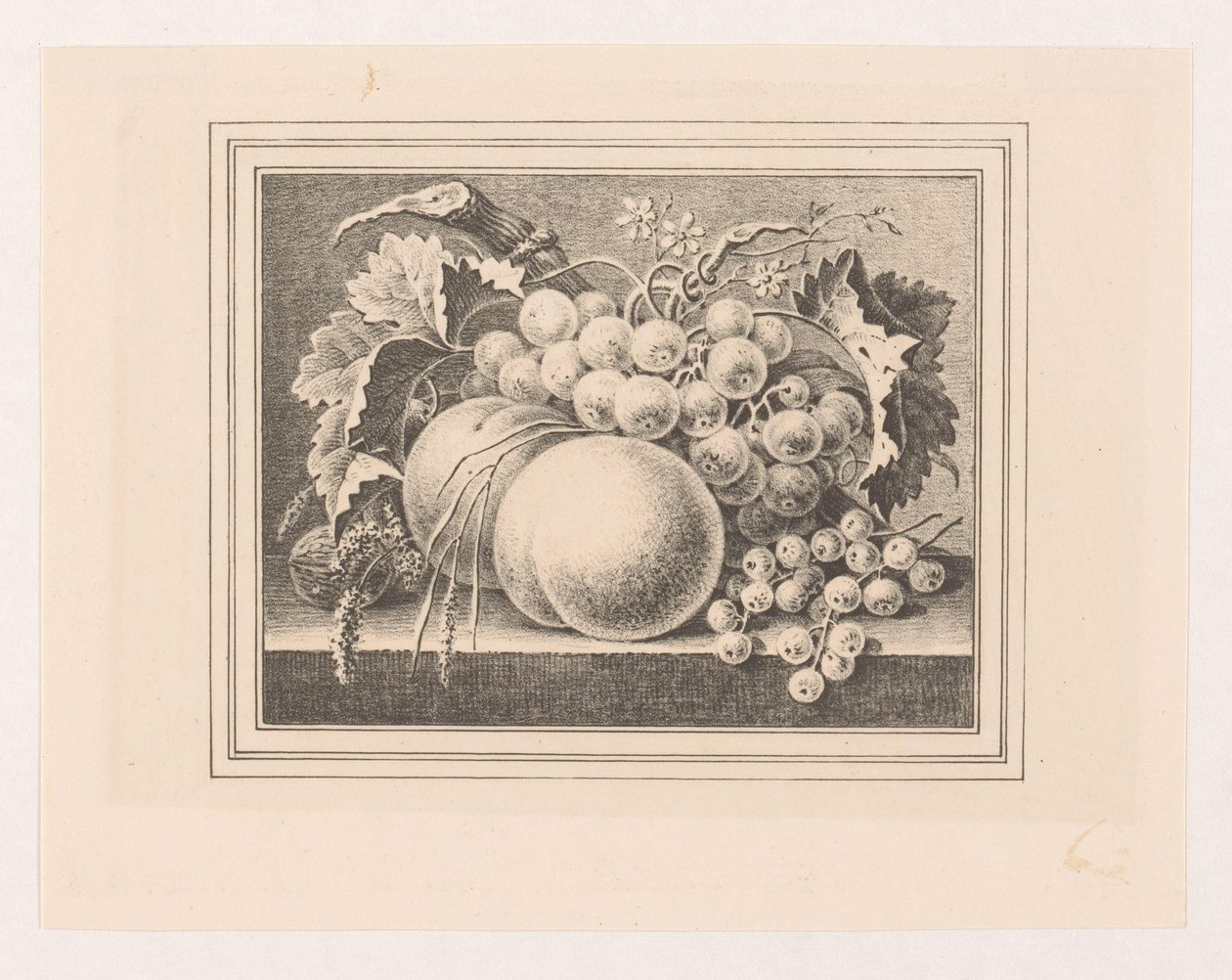 Composición con frutas en un marco. de Maria Geertruida de Goeje Barbiers (attributed to)