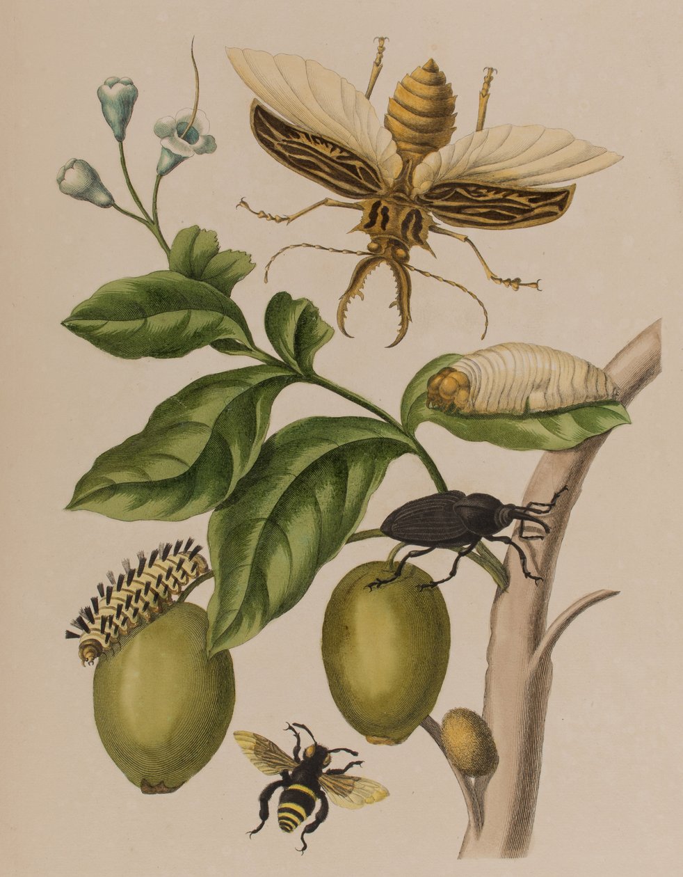 Ilustración de 