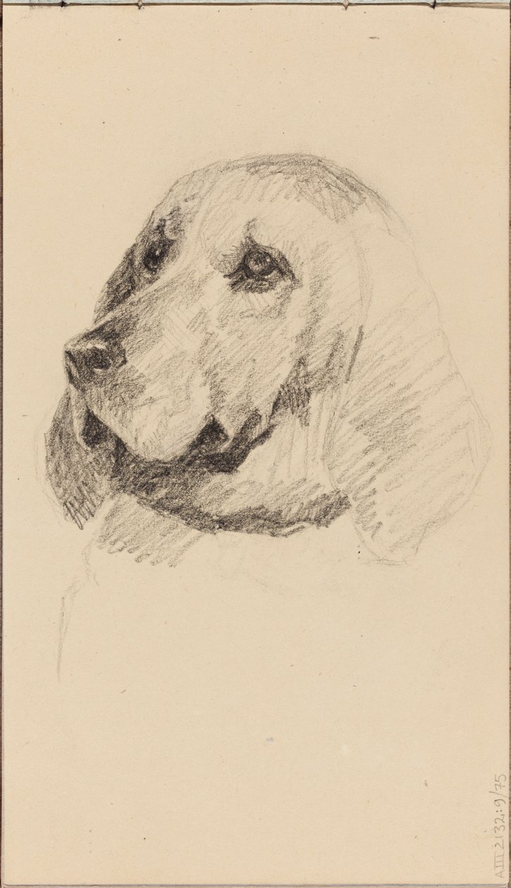 Cabeza de perro de Maria Wiik