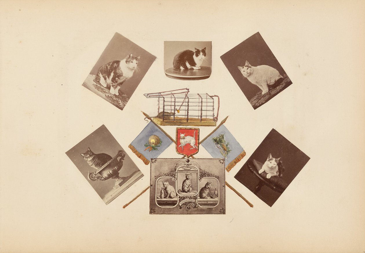 El álbum de Madame B de Marie Blanche Hennelle Fournier