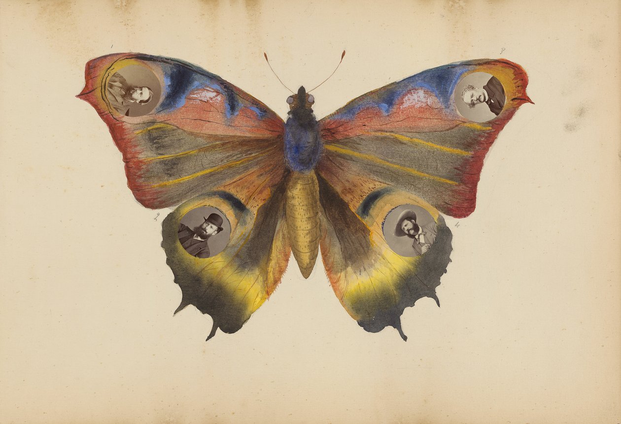 El álbum de Madame B de Marie Blanche Hennelle Fournier