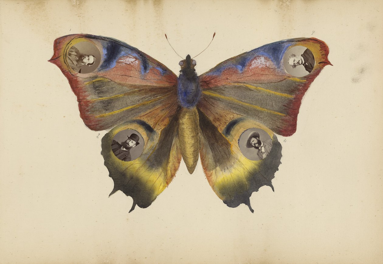 El álbum de Madame B, 1870s de Marie Blanche Hennelle Fournier